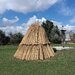 Stuf acoperis, garduri, umbrele. Reeds for roofs, fences, beach umbrellas.