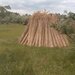 Stuf acoperis, garduri, umbrele. Reeds for roofs, fences, beach umbrellas.